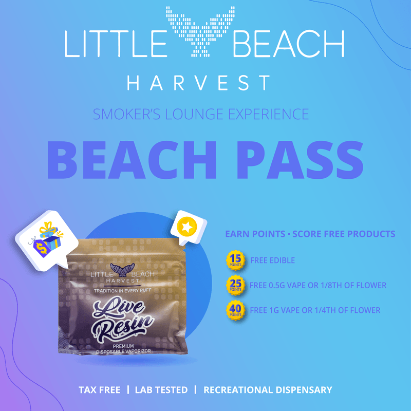 beach pass loyalty program